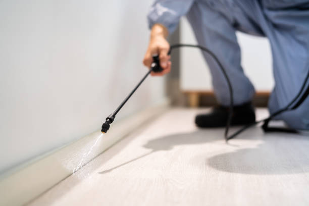Licensed Termite Control service in Menominee, MI - Nex Pest Control