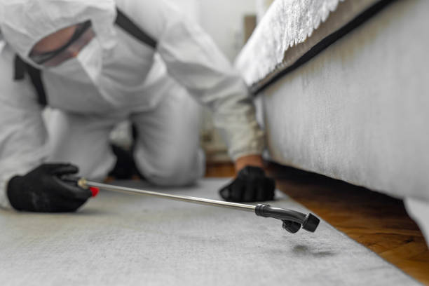 Professional Termite Control technician working in Menominee, MI