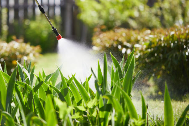 24/7 Emergency Termite Control experts in Menominee, MI