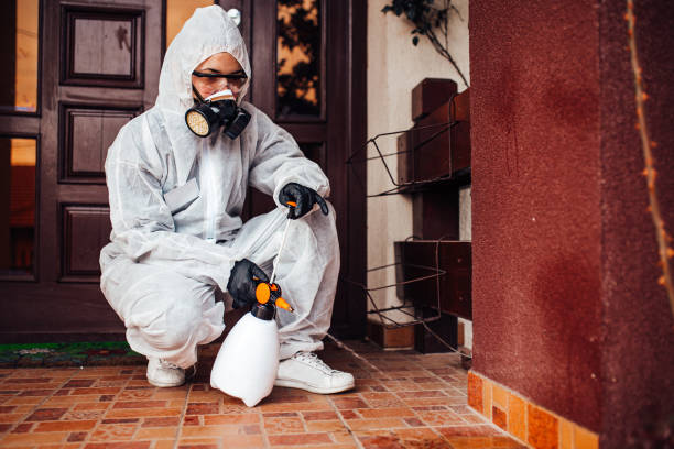 Reliable Termite Control contractor in Menominee, MI by Nex Pest Control
