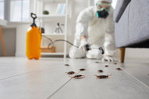 Trusted Termite Control service in Menominee, MI - Nex Pest Control