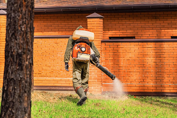 Trusted Ant Control service in Menominee, MI - Nex Pest Control